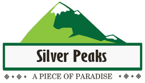 Silver Peaks Ranikhet